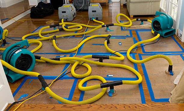 Professional Emergency Water Removal technician working in Walnut, IL